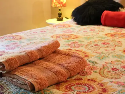 Alquiler temporario de cabana em Villa 25 de mayo, san rafael