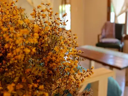 Alquiler temporario de cabana em Villa 25 de mayo, san rafael