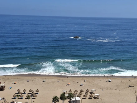 Arriendo temporario de departamento en Vi&ntilde;a renaca