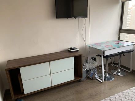 Arriendo temporario de apartamento em Santiago