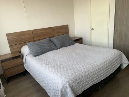 Arriendo temporario de apartamento em Santiago
