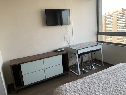 Arriendo temporario de apartamento em Santiago