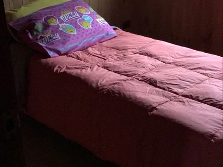 Arriendo temporario de cabana em Cautín