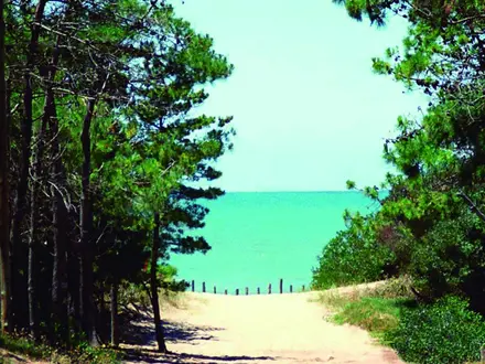 Alquiler temporario de alojamento em Mar azul