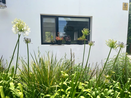 Alquiler temporario de casa en Miramar
