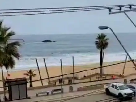 Arriendo temporario de apartamento em Viña del mar
