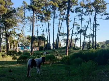 Alquiler temporario de cabana em Miramar