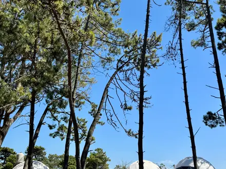 Alquiler temporario de caba&ntilde;a en Miramar
