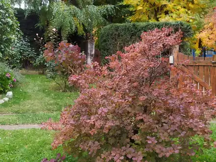 Alquiler temporario de casa em San carlos de bariloche