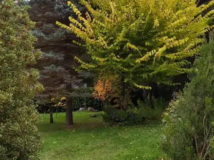 Alquiler temporario de casa em San carlos de bariloche