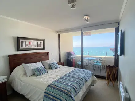 Arriendo temporario de apartamento em Elqui