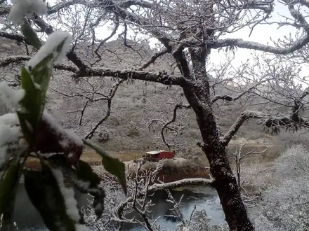 Alquiler temporario de casa em Yala