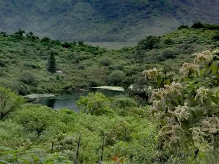 Alquiler temporario de casa em Yala