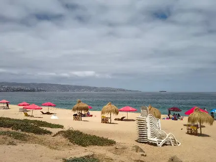 Arriendo temporario de departamento en Vi&ntilde;a