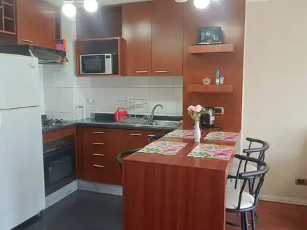 Arriendo temporario de apartamento em Santiago