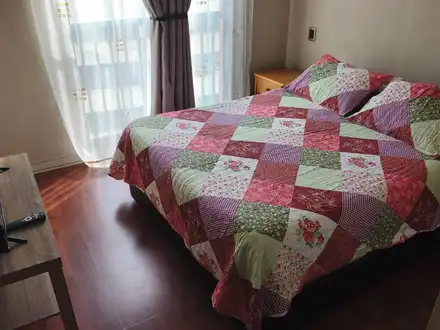 Arriendo temporario de apartamento em Santiago