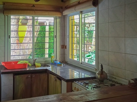 Alquiler temporario de cabana em Mar del plata
