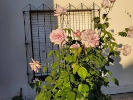 Alquiler temporario de casa em Tandil