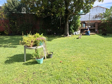 Alquiler temporario de casa em Miramar