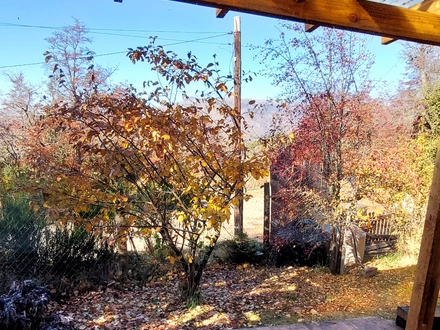 Alquiler temporario de casa en San mart&iacute;n de los andes