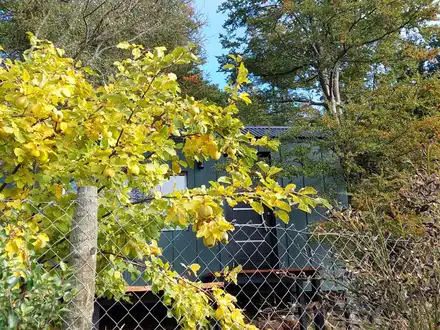 Alquiler temporario de casa em San martín de los andes