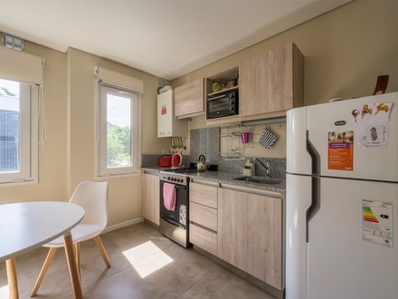 Alquiler temporario de departamento en San mart&iacute;n de los andes