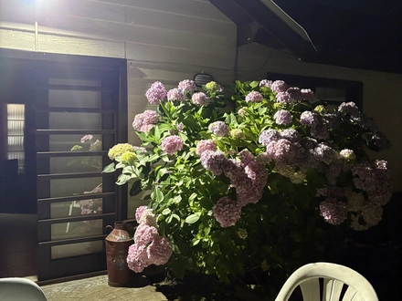 Alquiler temporario de casa en Chapadmalal