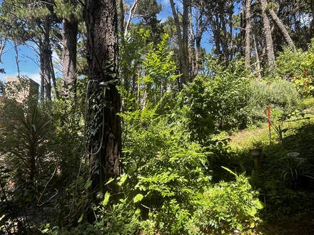 Alquiler temporario de cabana em Mar azul
