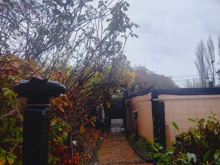 Alquiler temporario de casa en San mart&iacute;n de los andes