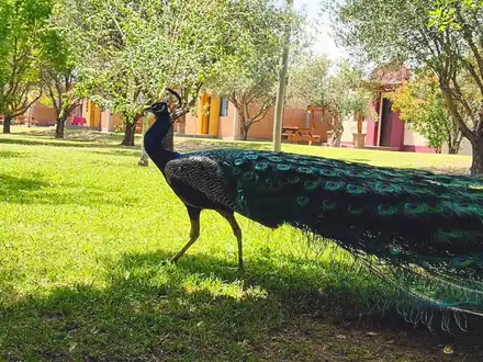Alquiler temporario de caba&ntilde;a en San rafael