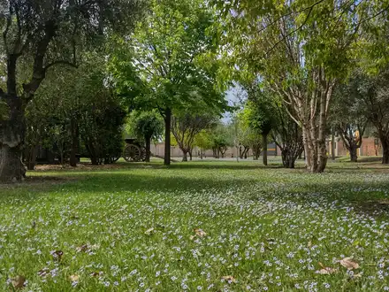Alquiler temporario de caba&ntilde;a en San rafael