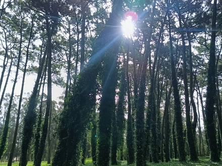 Alquiler temporario de casa em Miramar