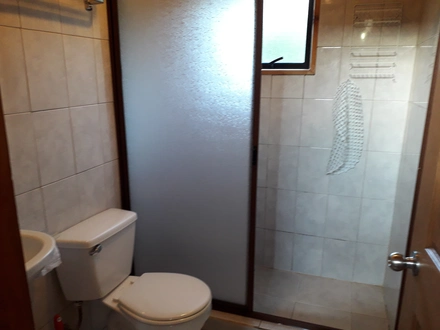 Arriendo temporario de cabana em Cautín