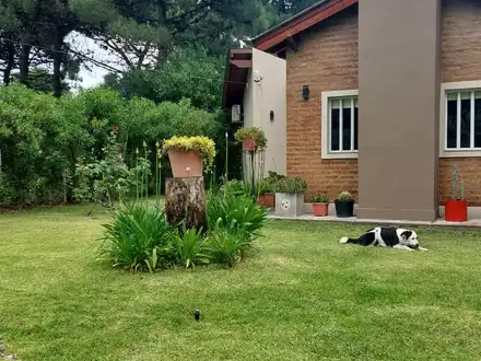 Alquiler temporario de casa em Monte hermoso