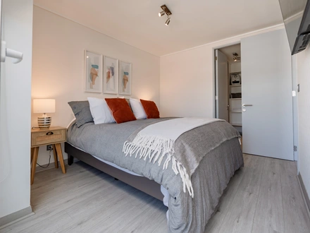 Arriendo temporario de apartamento em Santiago