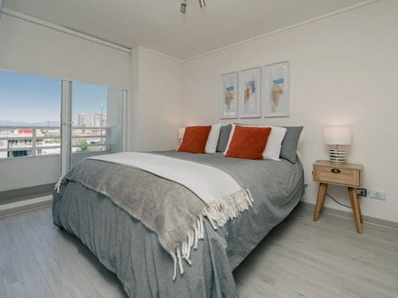 Arriendo temporario de apartamento em Santiago