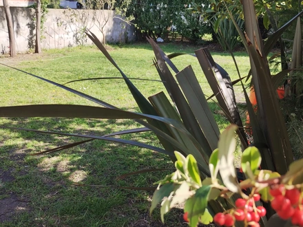 Alquiler temporario de casa em Mar del plata