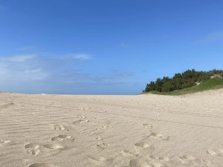 Alquiler temporario de cabana em Villa gesell