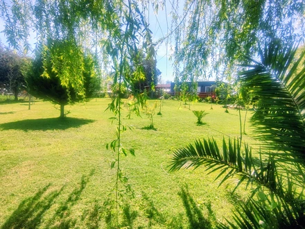 Arriendo temporario de cabana em Cachapoal