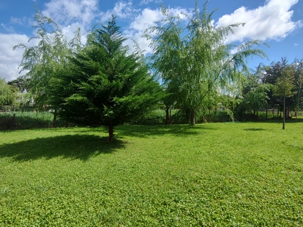 Arriendo temporario de cabana em Cachapoal