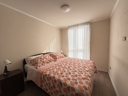 Arriendo temporario de apartamento em Santiago