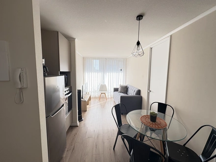 Arriendo temporario de apartamento em Santiago