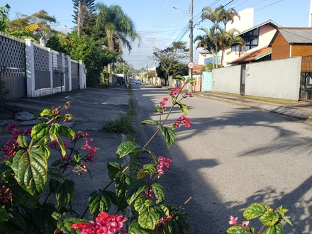 Alquiler temporario de departamento en Florian&oacute;polis