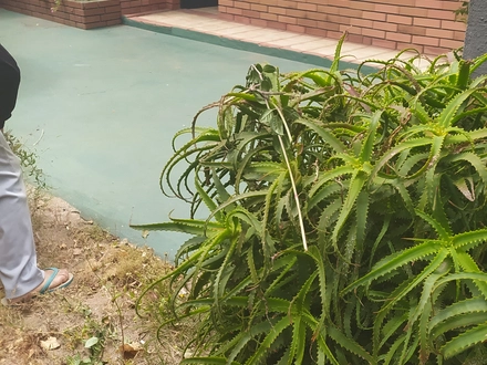 Alquiler temporario de casa em Nueva atlantis