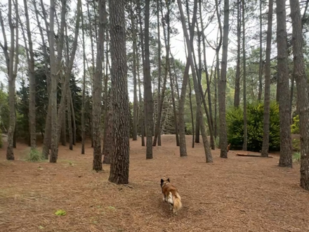 Alquiler temporario de casa em Mar de las pampas