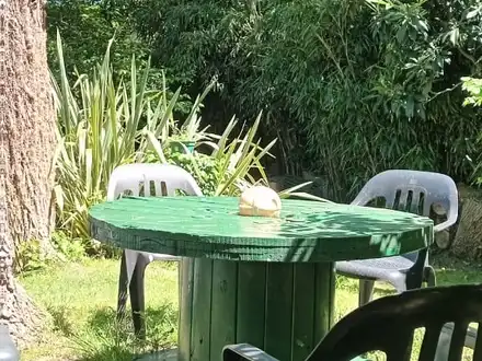 Alquiler temporario de casa em Villa gesell