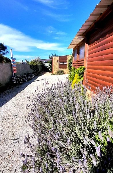 Alquiler temporario de cabana em San clemente del tuyu