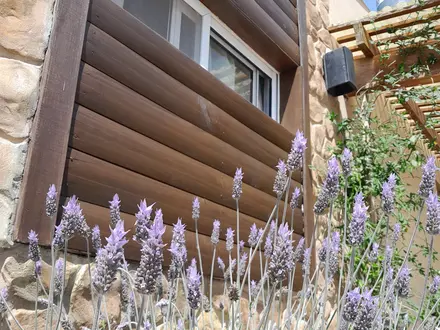 Alquiler temporario de cabana em San clemente del tuyu