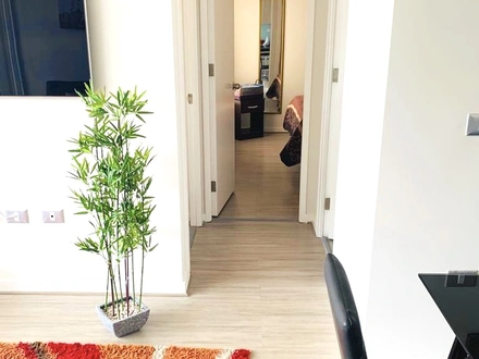 Arriendo temporario de apartamento em La serena