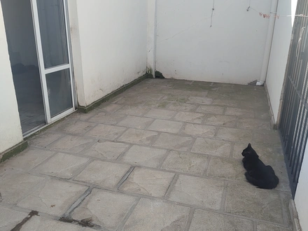 Alquiler temporario de casa em Necochea